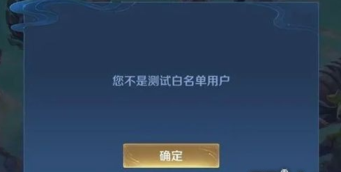 王者荣耀比赛服(图3)